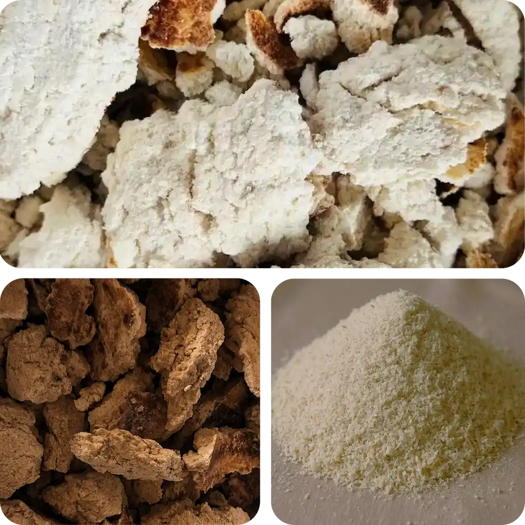 Vietnam coconut ingredients | CocoVnex