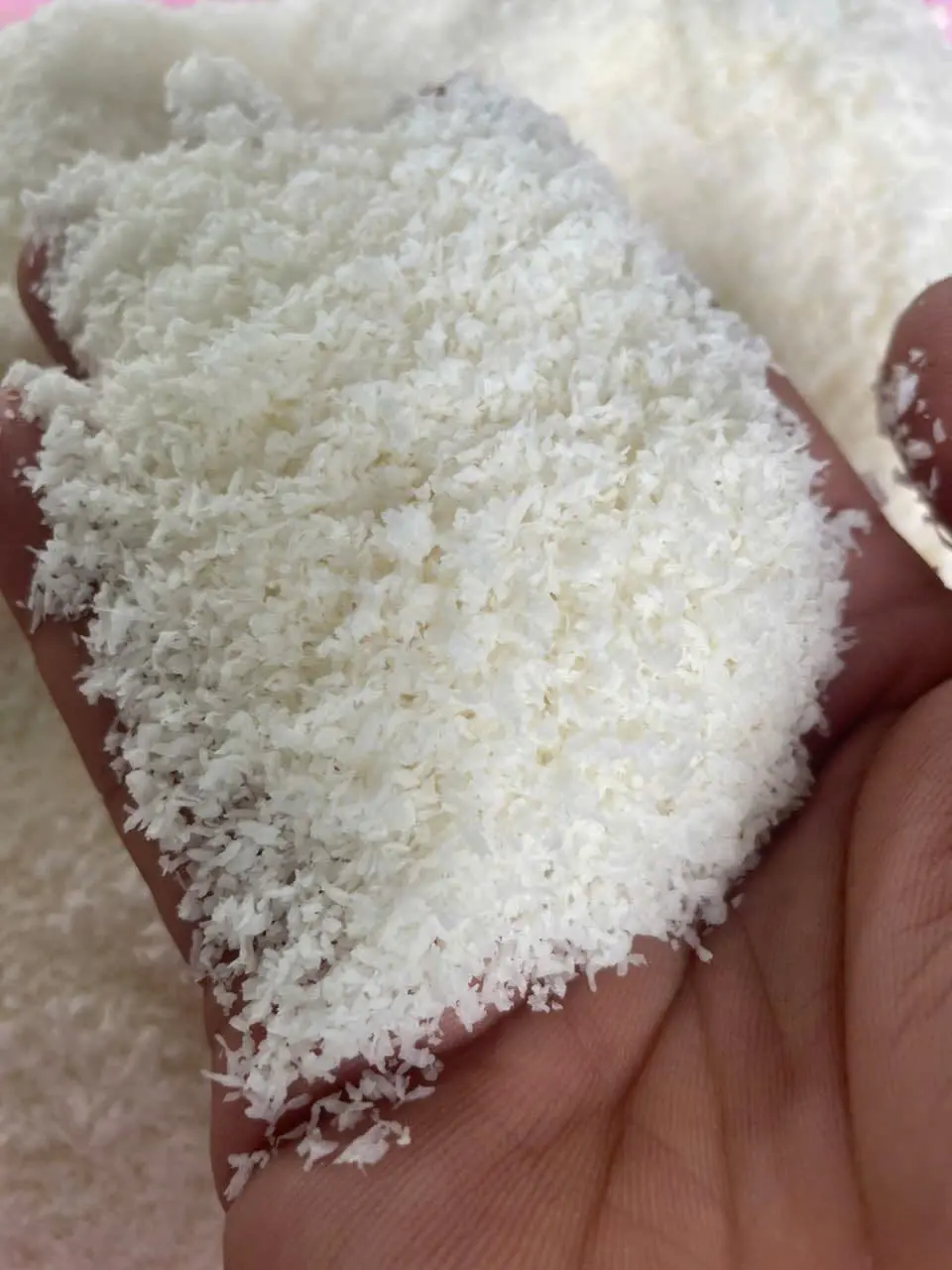 Desiccated Coconut | CocoVnex