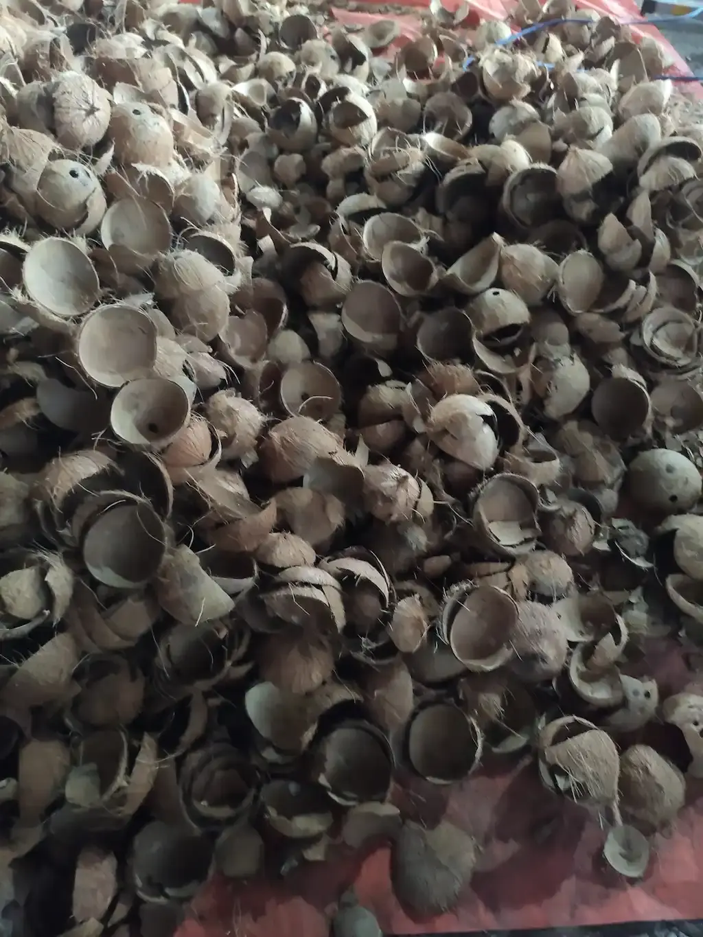 lump-coconut-shell-charcoal-NOPRSw24LY banner 5